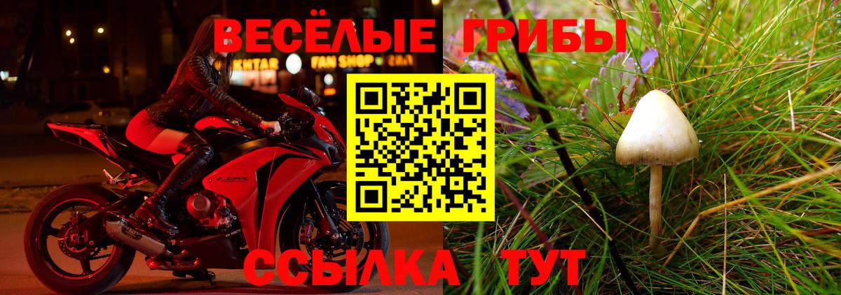 Псилоцибиновые грибы мицелий  Галлюциногенные грибы Psilocybine cubensis  Жуковский  Вход с VPN 