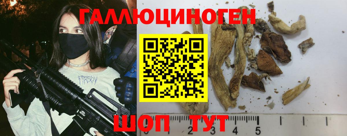 Псилоцибиновые грибы прущие грибы Жуковский